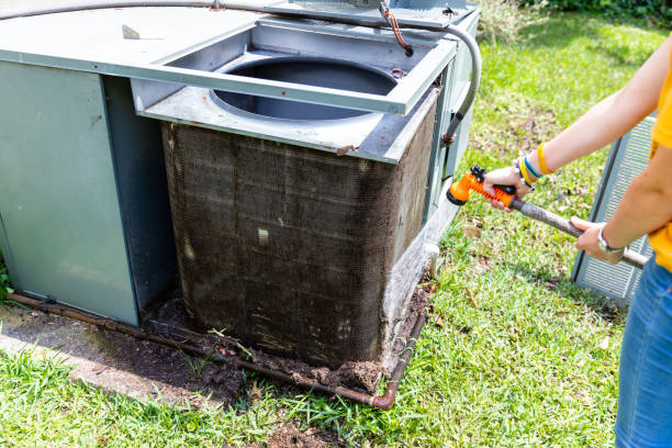 Best Air Duct Mold Removal  in Wyndham, VA